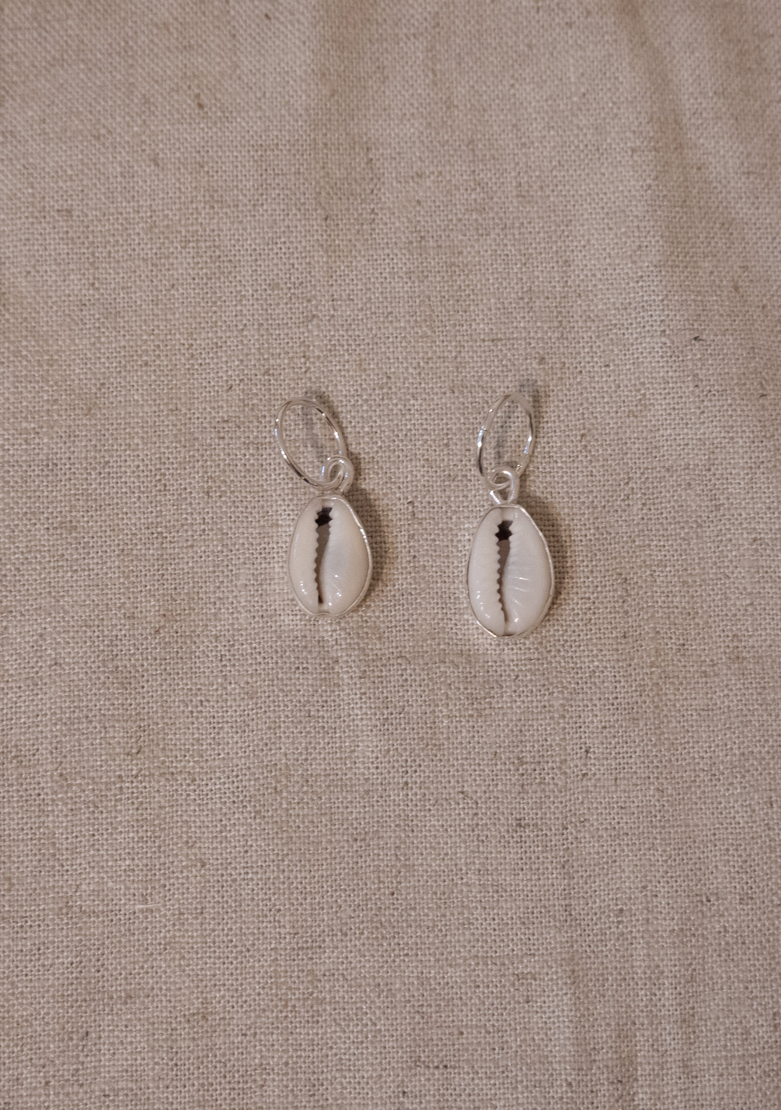 Cowrie Shell Hoops